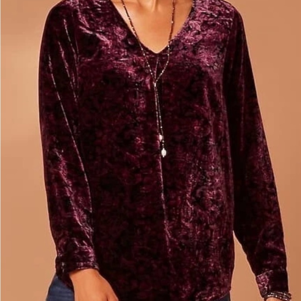J.Jill  Luxurious Velvet Paisley Printed Top NWT $129 Fairy Whimsical XL